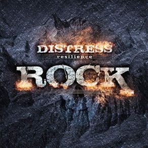 Download track Cash Is King Distress Resilience