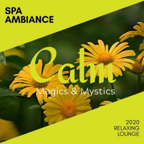 Download track Heart Aches Amazing Spa Music