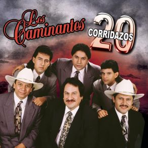 Download track El Toro Barcino Los Caminantes