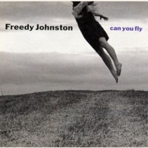 Download track Trying To Tell You I Don't Know Freedy Johnston