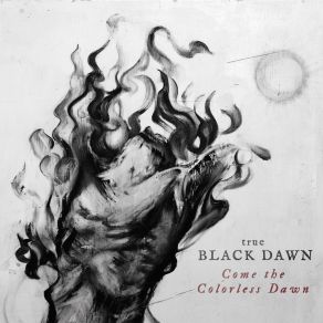 Download track The Sectile Shadow True Black Dawn