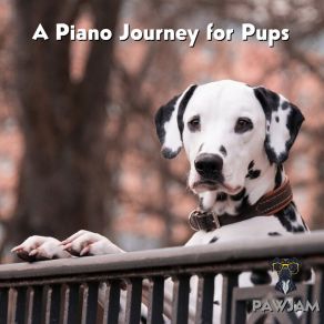 Download track Piano Pooch Polka PawJam