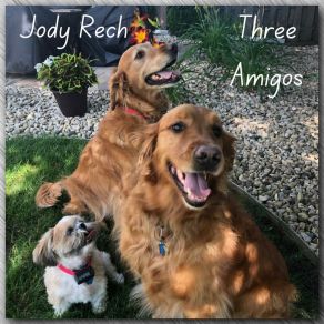 Download track Let's Paw-Ty V2 Jody Rech