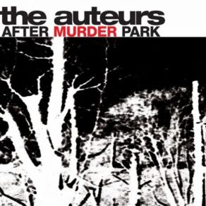 Download track Unsolved Child Murder (France Inter Black Session) The Auteurs