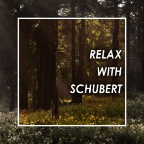 Download track Schubert: An Die Musik, D. 547 Franz SchubertDaniel Hope