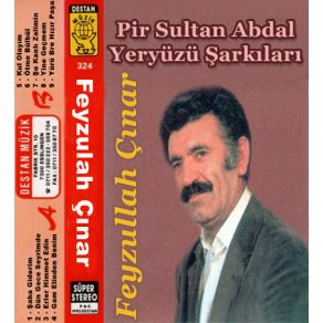 Download track Gam Elinden Benim Zülfü Siyahım Feyzullah Çınar