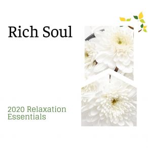 Download track A Relaxing Dive Spa Zen Melodies