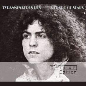 Download track Pavillons Of Sun Tyrannosaurus Rex