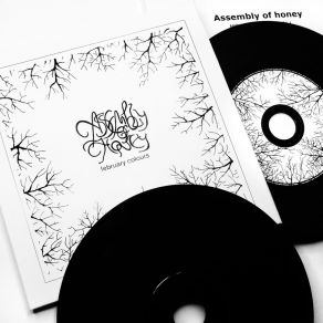 Download track February Still Here Assembly Of Honey