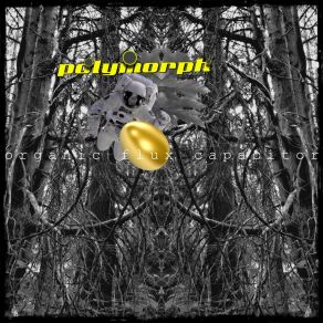 Download track Poly-Ofc-07 Polymorph