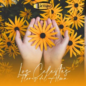 Download track Flores Del Alma Los Celestes