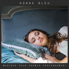 Download track Nuit Sereine Musique Pour Dormir Profondement