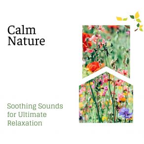 Download track A Relaxing Dive Spa Zen Melodies