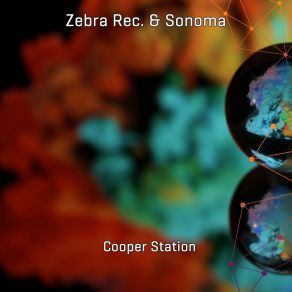 Download track Cooper Station Zebra Rec