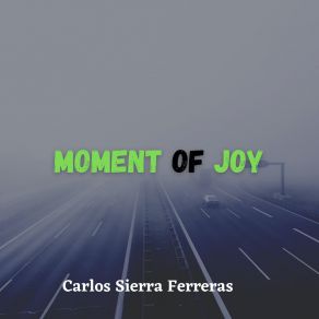 Download track Moment Of Joy Carlos Sierra Ferreras