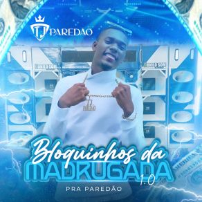 Download track Bloco Do Gerente TJ PAREDÃORd Gosta