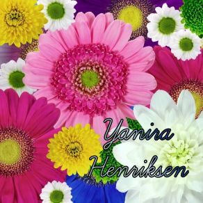 Download track Night Viva Yanira Henriksen