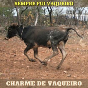 Download track Ganhei Na Mega Sena (Cover) Charme De Vaqueiro