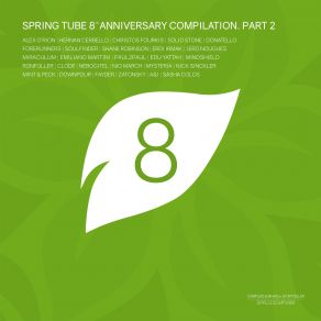 Download track Spring Tube 8th Anniversary Compilation, Pt. 2 (Continuous DJ Mix) Storyteller