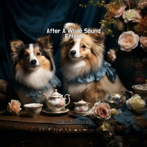 Download track After A While Sound Effect Soft Serenades