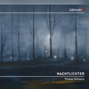 Download track Sillescu Symphony No. 1 Nachtlichter I. Andante Moderato Weimar Staatskapelle, Frank Christian