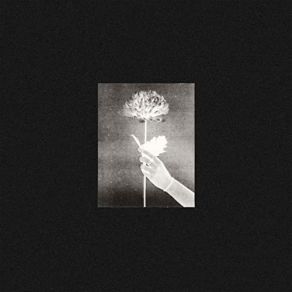 Download track Portra The White Flowers