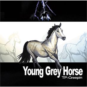 Download track Pow-Wow Road Young Grey Horse