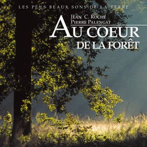 Download track Automne: Cerfs (Combat) Jean C. Roché, Pierre Palengat