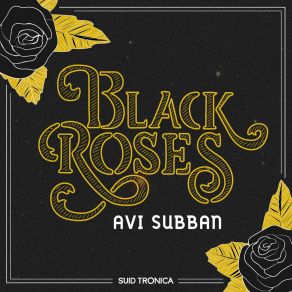 Download track 13 Planes Avi Subban