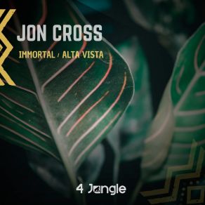 Download track Alta Vista Jon Cross