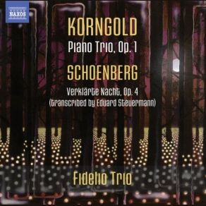 Download track Verklarte Nacht (Transfigured Night), Op. 4 (Arr. E. Steuermann For Piano Trio) Fidelio Trio