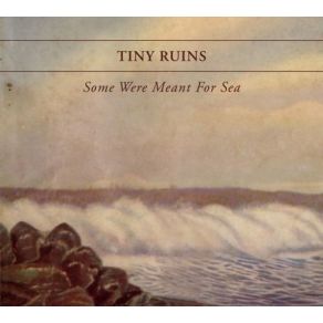 Download track Bird In The Thyme Tiny Ruins