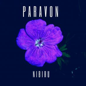 Download track Nibiru (Para X Radio Edit) ParavonPara