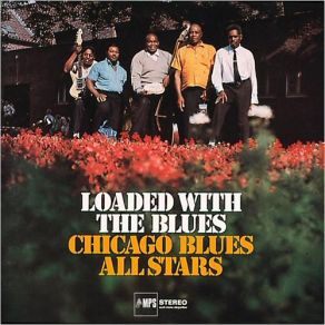 Download track Baby I Need Your Love The Chicago Blues All Stars