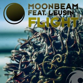 Download track Flight (Michael Calderone Remix) Moonbeam