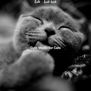 Download track Serene (Cats) Cute Music For CatsThe Cats