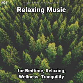 Download track Vinyasa Relaxing Spa Music