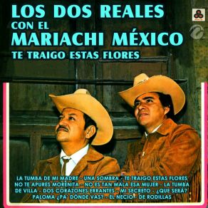 Download track No Te Apures Morenita El Mariachi México