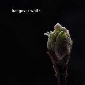 Download track When She's Sleeping Hangover Waltz