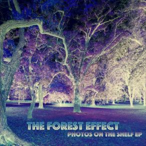 Download track Crooked Town Forest Effect