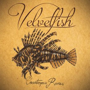 Download track Uncatchable Velvetfish