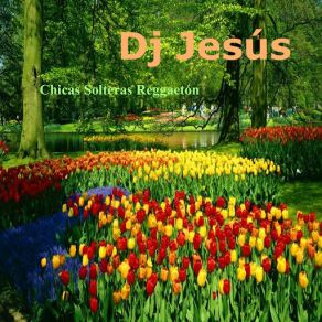 Download track Chicas Solteras Reggaeton DJ Jesus