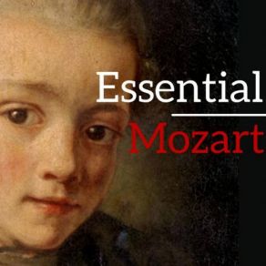 Download track Concerto For Horn No. 2 In E-Flat Major K417: I. Allegro Wolfgang Amadeus Mozart, Alain BoulfroyPaul Kuentz, Orchestre Paul Kuentz, Marc Geujon