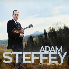 Download track Garfield'S Blackberry Blossom Adam Steffey