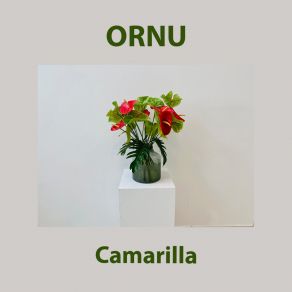 Download track Nuccio Ornu