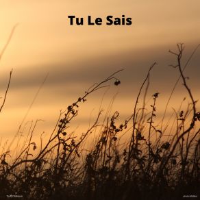 Download track Tu Le Sais Torfi Olafsson