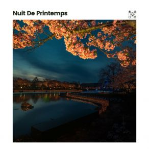 Download track Sons Ambiants Pour Une Relaxation Profonde Et Un Sommeil, Pt. 20 Ambiance De FondPt. 20, Un Sommeil