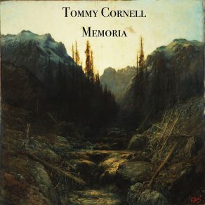 Download track Into Your Arms Tommy Cornell