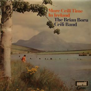 Download track Song Of The Backwoods / Box Of Matches / If You're Irish Come Into The Parlour (Irish Two Step) Brian Boru Ceili Band