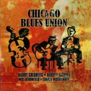 Download track Lost Love Mike Bloomfield, Charlie Musselwhite, Harvey Mandel, Barry Goldberg